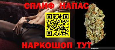 гашик Славгород